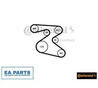 V-Ribbed Belt Set for SEAT SKODA VW CONTINENTAL CTAM 6PK1873K1
