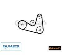 V-Ribbed Belt Set for SKODA FABIA PRAKTIK ROOMSTER CONTINENTAL CTAM 6PK1180K2