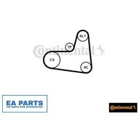 V-Ribbed Belt Set for SKODA FABIA PRAKTIK ROOMSTER CONTINENTAL CTAM 6PK995K1