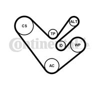 V-RIBBED BELT SET FOR VW AMAROK CALIFORNIA T5 CAMPER CONTINENTAL CTAM 6PK1555K4