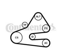 CONTITECH 6PK1613K1 V-Ribbed Belt Set