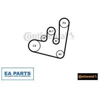 V-Ribbed Belt Set for VW BORA DERBY III CLASSIC GOLF CONTINENTAL CTAM 6PK1660K2