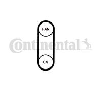 V-Ribbed Belt Set for VW CRAFTER 30-50 CONTINENTAL CTAM 4PK711 ELAST T1