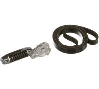 V-ribbed Belt Set GATES K016PK803EST