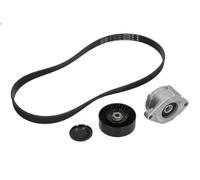 V-Ribbed Belt Set INA 529 0102 10 for SEAT INCA (6K9) 1.9 1995-2003