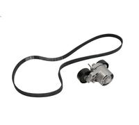 V-ribbed Belt Set INA 529 0206 10 BMW 3 (E90) 2 2004-2011