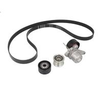 INA V-Ribbed Belt Set 529 0423 20 – Multi-ribbed kit with freewheel pulley