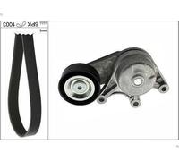 V-ribbed Belt Set INA 529 0483 10 for BMW 1 (F21) 2 2011-2019