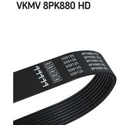 V-Ribbed Belt SKF VKMV 8PK880 HD Fits MAN 8 Ribs