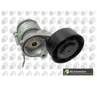V-Ribbed Belt Tensioner Lever Fits Seat Skoda VW Cordoba Ibiza BGA DC0112