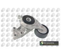 BGA V-Ribbed Belt Tensioner Lever 70mm OD – fits Audi, Seat, Skoda, VW