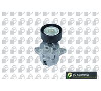 V-Ribbed Belt Tensioner Lever Fits Jeep Mercedes Grand Cherokee BGA DC5602