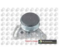 V-Ribbed Belt Tensioner Pulley Fits Dacia Mercedes Nissan BGA DC5609