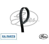V-Ribbed Belts for ALFA ROMEO BMW EUNOS GATES 4PK885