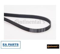 V-Ribbed Belts for AUDI 100 C4 80 CABRIOLET COUPE CONTINENTAL CTAM 6PK2260