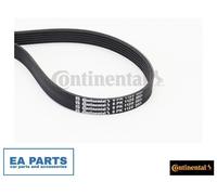 V-Ribbed Belts for AUDI A3 TT CONTINENTAL CTAM 6PK1120