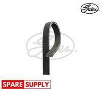 V-RIBBED BELTS FOR AUDI A3 TT TT ROADSTER GATES 6DPK1195 NEW
