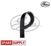 V-RIBBED BELTS FOR AUDI A8 GATES 7PK2535