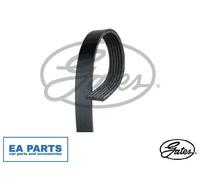 V-Ribbed Belts for AUDI CHANGAN CITROËN GATES 6PK1678