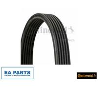 V-Ribbed Belts for BMW E81 E87 E88 E82 CONTINENTAL CTAM 6DPK1697