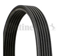 V-Ribbed Belts for BMW E90 E93 E92 E91 CONTINENTAL CTAM 6DPK1697