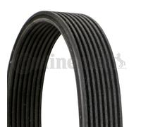 V-RIBBED BELTS FOR BMW F01 E71 CONTINENTAL CTAM 8DPK1833