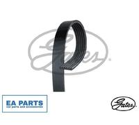 V-Ribbed Belts for CITROËN AUDI GATES 6PK1678