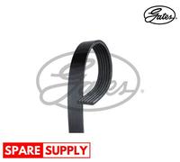 V-RIBBED BELTS FOR CITROËN HYUNDAI KIA GATES 6PK1010