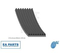 V-Ribbed Belts for FORD Cargo BLUE PRINT AD08R1355