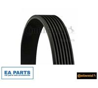 V-Ribbed Belts for HONDA LAND ROVER NISSAN CONTINENTAL CTAM 7PK1815