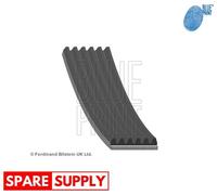 V-RIBBED BELTS FOR JEEP CHEROKEE GRAND CHEROKEE BLUE PRINT AD06R2205