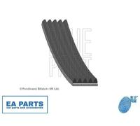 V-Ribbed Belts for LAND ROVER FREELANDER BLUE PRINT AD05R2030
