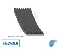 V-Ribbed Belts for MAZDA 6 BLUE PRINT AD08R1173