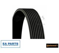 V-Ribbed Belts for MERCEDES-BENZ ATEGO B670 CONTINENTAL CTAM 8PK1395