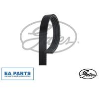 V-Ribbed Belts for MERCEDES-BENZ B907 B910 GATES 5PK1440