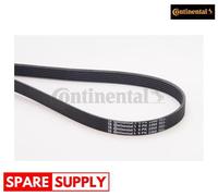 V-RIBBED BELTS FOR MERCEDES-BENZ S124 A124 C124 W124 CONTINENTAL CTAM 6PK2260