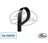 V-Ribbed Belts for MINI R55 R60 R56 R57 GATES 6PK893XS