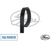 V-Ribbed Belts for MITSUBISHI CARISMA COLT DEBONAIR IO GATES 5PK1343