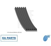 V-Ribbed Belts for MITSUBISHI GALANT FORTIS BLUE PRINT AD06R2623