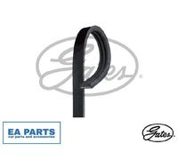 V-Ribbed Belts for MITSUBISHI GATES 3PK881SF