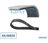 V-Ribbed Belts for RENAULT CAPTUR CLIO GRAN TOUR III Grandtour DAYCO 7PK1569
