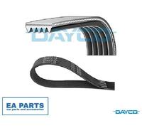 V-Ribbed Belts for TOYOTA AURIS AVENSIS RAV 4 VERSO DAYCO 5PK1385S