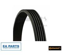 V-Ribbed Belts for TOYOTA AVENSIS CONTINENTAL CTAM 5PK1180