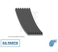 BLUE PRINT AD07R1920 Serpentine belt