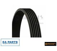 V-Ribbed Belts for VOLVO 850 960 S40 V40 CONTINENTAL CTAM 6PK1623