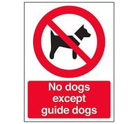 V Safety 54011AN-W'No Dogs Except Guide Dogs' Sign, Portrait, 150 mm x 200 mm (Pack of 3)