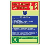V Safety Glow In The Dark Caravan Site Fire Action/Your Assembly Point Is: Sign - 150mm x 200mm - Rigid Plastic