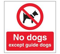 V Safety No Dogs Automatic Door 150 x 150 mm - 1mm Rigid Plastic Safety Sign