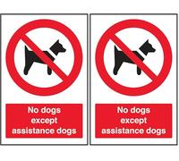 V Safety No Dogs Except Assistance Dogs 150 x 200 mm - Face Adhesive Window Sticker Safety Sign (Pack of 2)