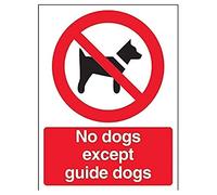 V Safety No Dogs Except Guide Dogs Prohibition Sign - 150mm x 200mm - Self Adhesive Vinyl